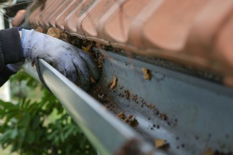 How To Stop Leaves From Going Into Gutters - Kleenaway Cleaning