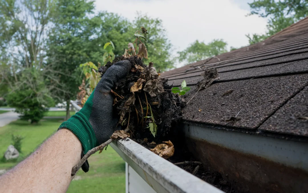 How Often Should I Clean My Gutters?
